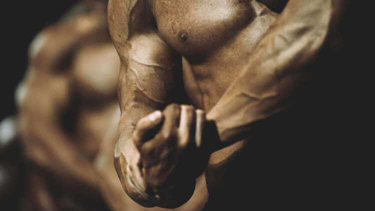bodybuilder on steroids